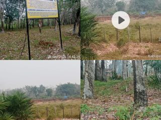 Tambang Emas Ilegal di Tanah Bekali Terus Beroperasi, Siapa di Balik Pemodalnya?